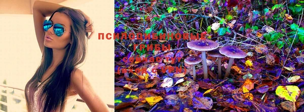 MDMA Алексеевка