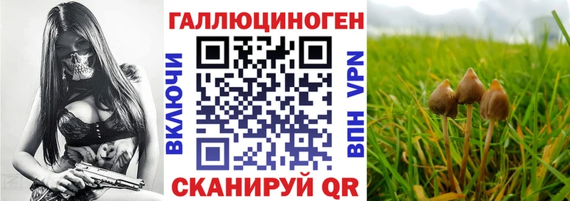 Галлюциногенные грибы GOLDEN TEACHER Льгов